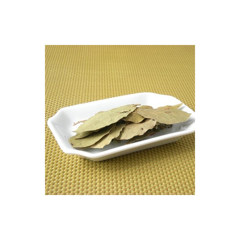 Laurier feuille (Espig)disponible à la Maison Pollet de Toulouse