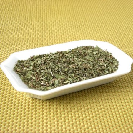 Menthe douce coupée (Espig)disponible à la Maison Pollet de Toulouse