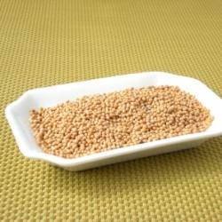 Moutarde jaune grain (Espig)disponible à la Maison Pollet de Toulouse