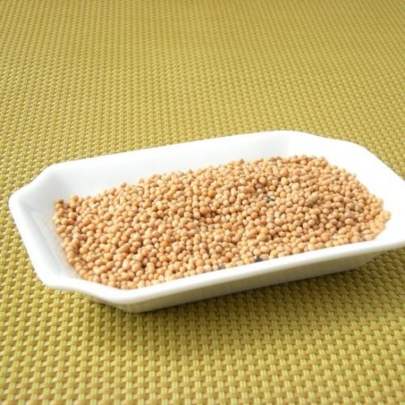 Moutarde jaune grain (Espig)disponible à la Maison Pollet de Toulouse