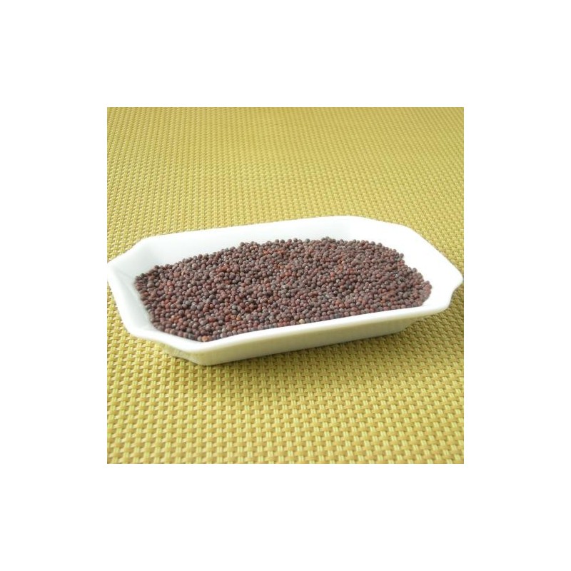 Moutarde brune grain (Espig)disponible à la Maison Pollet de Toulouse