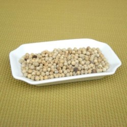 Poivre blanc grain (Espig)disponible à la Maison Pollet de Toulouse