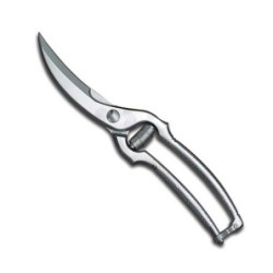 Sécateur à volaille chromé avec ressort apparentdisponible à la Maison Pollet de Toulouse