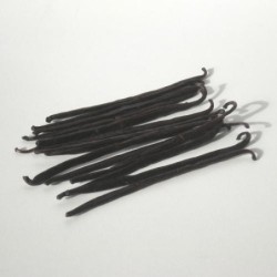 Vanille bourbon gousse entièredisponible à la Maison Pollet de Toulouse