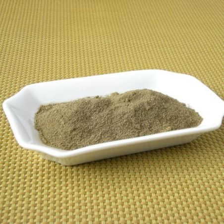 Basilic moulu (LHG)disponible à la Maison Pollet de Toulouse