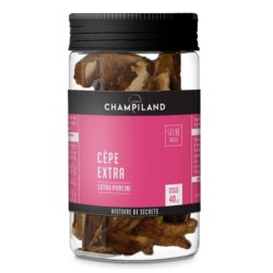 Cèpes extra séchés - Tubo 40 g (Champiland)disponible à la Maison Pollet de Toulouse