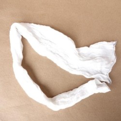 Sac Carnex N°5 - 600x100 mm environ (x50)disponible à la Maison Pollet de Toulouse