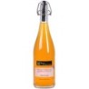 Limonade artisanale Mangue - 75 cl (Jean d'Audignac)disponible à la Maison Pollet de Toulouse