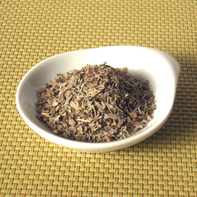 Basilic feuille (Espig)disponible à la Maison Pollet de Toulouse