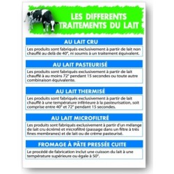 Panneau : Les différents traitements du lait - 40x30 cmdisponible à la Maison Pollet de Toulouse