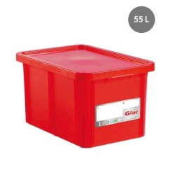 Bac & Couvercle HACCP PEHD Rouge 55 L - 600x400x334 mm (Gilac)disponible à la Maison Pollet de Toulouse