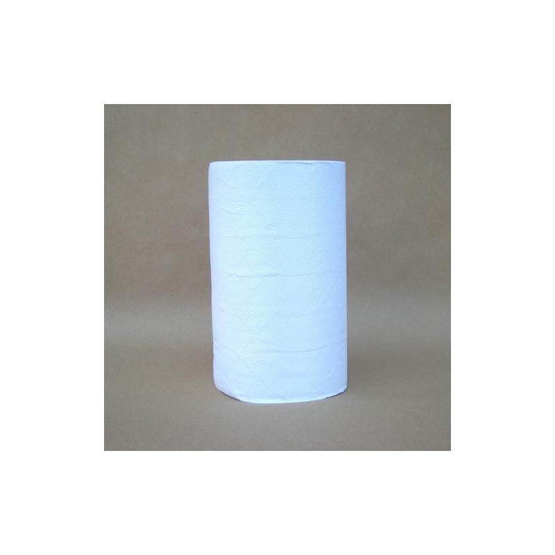 Rouleau essuyage 2 plis 200x370 mm - 125 formats Blancdisponible à la Maison Pollet de Toulouse