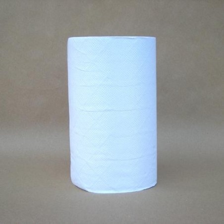 Rouleau essuyage 2 plis 200x370 mm - 125 formats Blancdisponible à la Maison Pollet de Toulouse