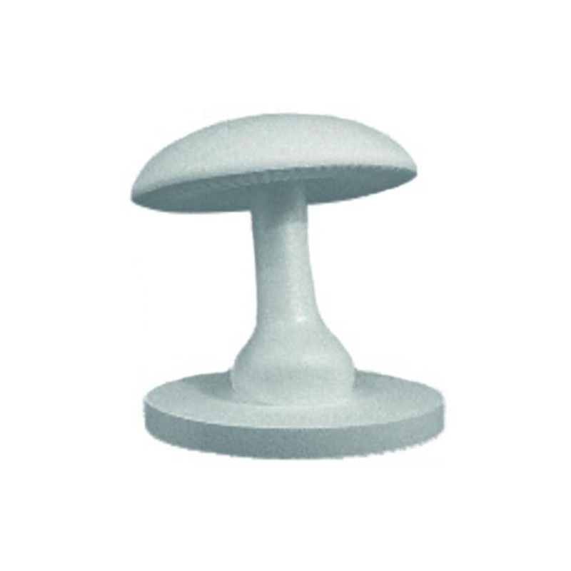 Champignon Penchédisponible à la Maison Pollet de Toulouse