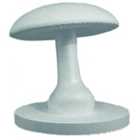 Champignon Penchédisponible à la Maison Pollet de Toulouse