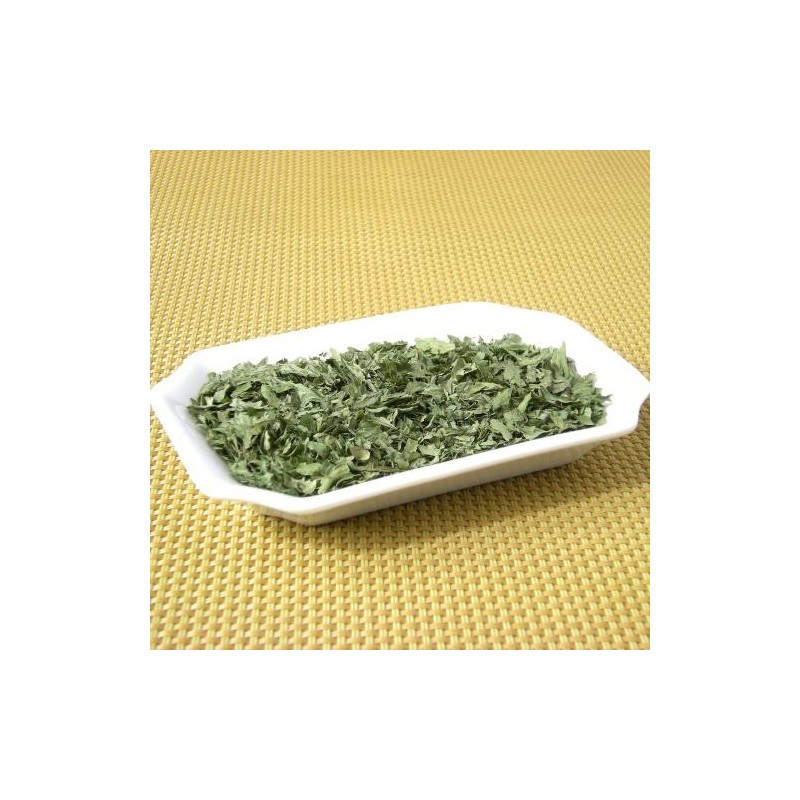 Céleri feuille (LHG)disponible à la Maison Pollet de Toulouse