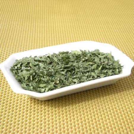 Céleri feuille (LHG)disponible à la Maison Pollet de Toulouse