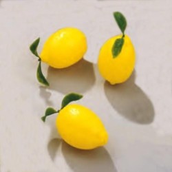 Citron Entier (x12)disponible à la Maison Pollet de Toulouse