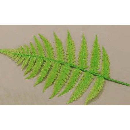 Feuille de Fougères (x10)disponible à la Maison Pollet de Toulouse