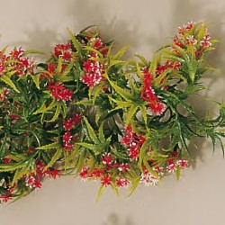 Guirlande fleurs de la Passion - 2700 mmdisponible à la Maison Pollet de Toulouse