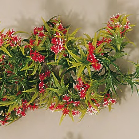 Guirlande fleurs de la Passion - 2700 mmdisponible à la Maison Pollet de Toulouse