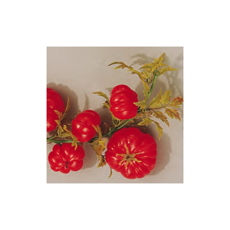 Guirlande Tomate - 2000 mmdisponible à la Maison Pollet de Toulouse