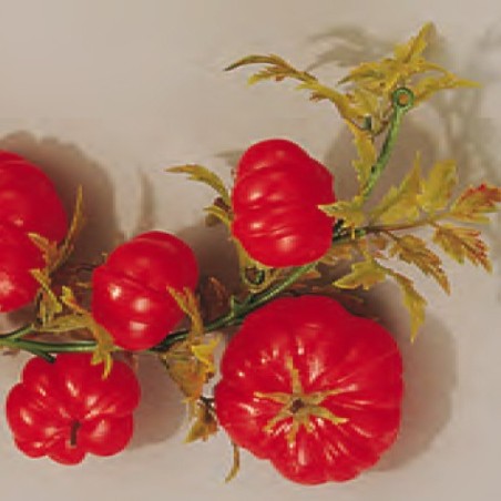 Guirlande Tomate - 2000 mmdisponible à la Maison Pollet de Toulouse