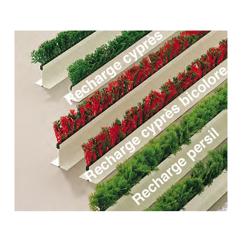 Recharge Cyprès vert & rouge pour séparateur - 250 mmdisponible à la Maison Pollet de Toulouse