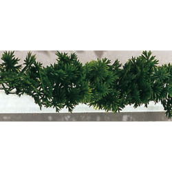 Barrette Persil 250 mm (Boîte de 12)disponible à la Maison Pollet de Toulouse