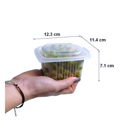 Barquette chaleur ONDIPACK PP 375 g - 123x114x71 mm (x50)disponible à la Maison Pollet de Toulouse