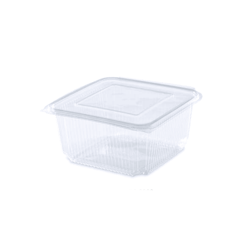 Barquette Fraîcheur RPET 2000 g - 220x190x85 mm (x50)disponible à la Maison Pollet de Toulouse