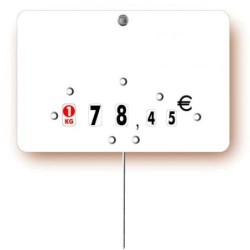 Etiquette : Blanche neutre - 8x12 cm (avec roulettes & pique inox)disponible à la Maison Pollet de Toulouse