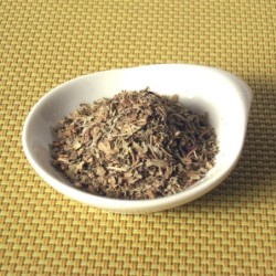 Basilic feuille (Espig)disponible à la Maison Pollet de Toulouse