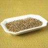 Cumin grain (Espig)disponible à la Maison Pollet de Toulouse