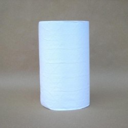 Rouleau essuyage 2 plis 200x370 mm - 125 formats Blancdisponible à la Maison Pollet de Toulouse