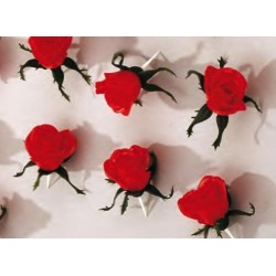 Rose à piquer (x25)disponible à la Maison Pollet de Toulouse