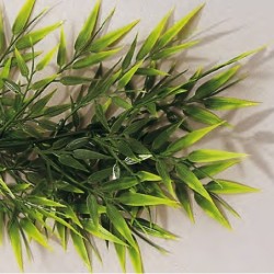 Guirlande Bambou - 2700 mmdisponible à la Maison Pollet de Toulouse