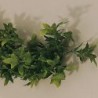 Guirlande Lierre vert touffu - 2700 mmdisponible à la Maison Pollet de Toulouse