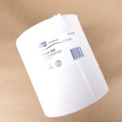 Rouleau essuyage 2 plis 200x300 mm - 450 formats Blanc à dévidage centraldisponible à la Maison Pollet de Toulouse