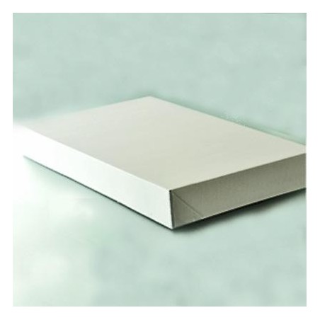 Boîte pour Plateau traiteur 28x42x6 cm - blanche (x100)disponible à la Maison Pollet de Toulouse