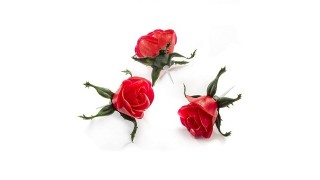 K - Présentation & Décoration