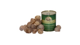 Escargots & Coquilles