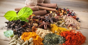 Vente d'épices à Toulouse